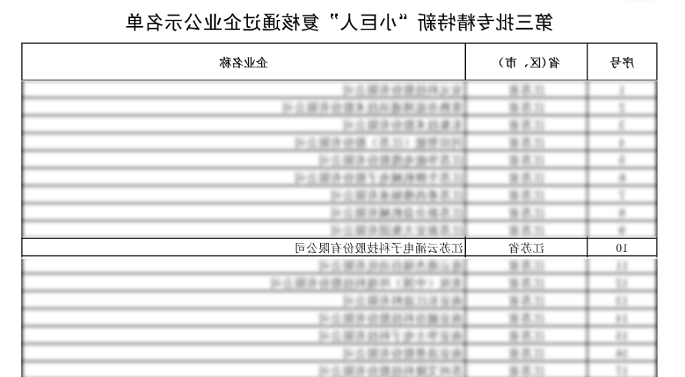 荣誉蝉联|太阳城官网通过第三批专精特新“小巨人”复核